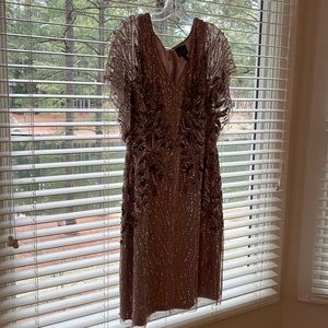 Adrianna Papell Gown